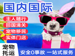 潍坊机场快运国际宠物托运 【国
